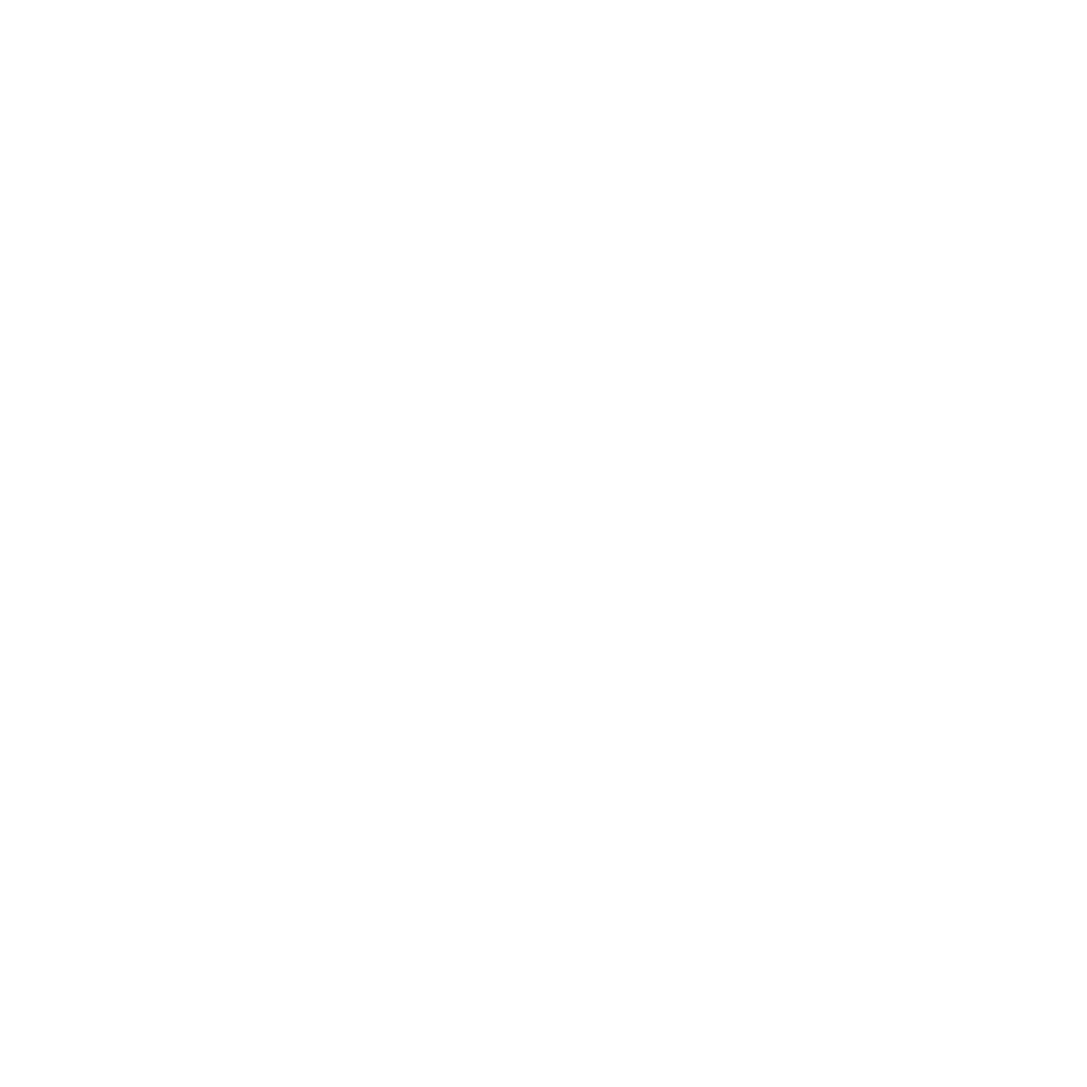 Dymo Light Logo (WEBP)
